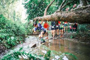 BIB: 
                            <button type="button" onclick="openModal(25516454)" class="btn btn-primary btn-sm float-right btn-popup" data-toggle="modal" data-target=".modal-high-quality">
                        <i class="fas fa-shopping-cart"></i> Add to Cart
                    </button>
                                            <button type="button" onclick="isThisMe(25516454, true)" class="btn btn-success btn-sm float-right btn-popup btn-isme hidden" data-toggle="tooltip" data-placement="bottom" title="นี่คือรูปของคุณใช่ไหม คลิกที่นี่เพื่อเอาเข้าอัลบั้ม">
                        <i class="fas fa-plus"></i> Add to album
                    </button>
                    <button type="button" onclick="isThisMe(25516454, false)" class="btn btn-warning btn-sm float-right btn-popup btn-isnotme hidden">
                        <i class="fas fa-ban"></i> Remove from album
                    </button>